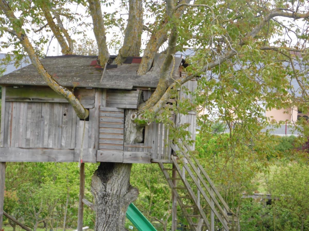 Au Parfum Des Lavandes Precigne Exterior photo